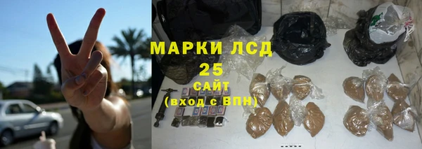 шишки Арсеньев