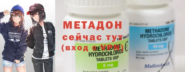 шишки Арсеньев