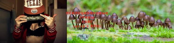 скорость Покачи