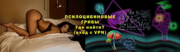 крисы Балахна
