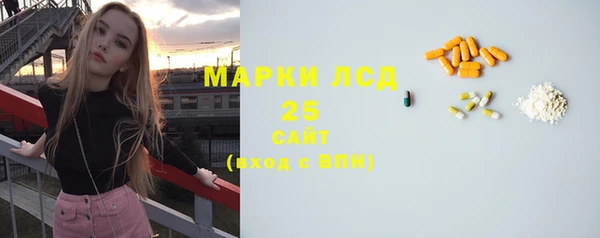 шишки Арсеньев