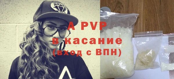 шишки Арсеньев